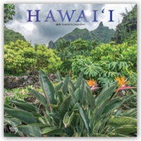 Abbildung von: Hawaii 2019 - 16-Monatskalender - Brown Trout