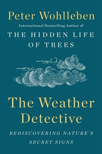 Abbildung von: The Weather Detective - Dutton