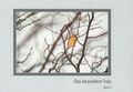 Cover: Das besondere Foto Band 2 - Dorise-Verlag