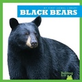 Cover: Black Bears - Pogo Books