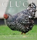 Cover: Cluck - Exisle Publishing