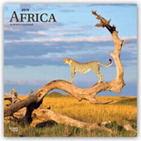 Abbildung von: Africa - Afrika 2019 - 16-Monatskalender - Brown Trout