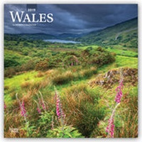 Abbildung von: Wales 2019 - 16-Monatskalender - Brown Trout
