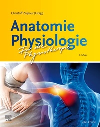 Abbildung von: Anatomie Physiologie für die Physiotherapie - Urban & Fischer