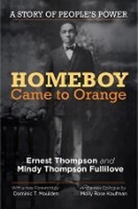 Enlarge image Cover: Homeboy Came to Orange - New Village Press