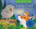 Cover: Little Owl and the Noisy Night - Silver Dolphin Books