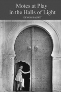 Cover: Motes at Play in the Halls of Light - Kelsay Books