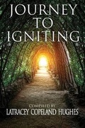 Cover: Journey to Igniting - Purposeful Publishing and Consulting