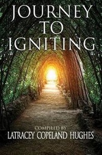 Enlarge image Cover: Journey to Igniting - Purposeful Publishing and Consulting