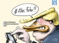 Cover: Alles Fake! - Schaltzeit Verlag