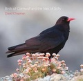Cover: Birds of Cornwall and the Isles of Scilly - Alison Hodge
