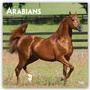 Bild: Arabians - Araber - Araber Pferde 2019 - 16-Monatskalender - Browntrout Publishers