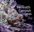 Cover: Beneath Cornish Seas - Alison Hodge