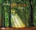 Cover: Waldspaziergang 2019 - Fotokunst-Kalender - Querformat 58,4 x 48,5 cm - Spiralbindung - DuMont Kalenderverlag