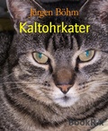 Cover: Kaltohrkater - BookRix
