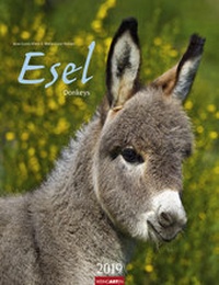 Abbildung von: Esel - Kalender 2019 - Weingarten