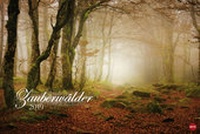Bild vergrößern Bild: Zauberwälder - Kalender 2019 - Heye