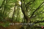Bild: Der deutsche Wald - Ein literarischer Spaziergang - Kalender 2019 - Heye