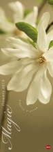 Cover: Magic Flowers Vertical Kalender - Kalender 2019 - Heye