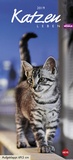 Bild: Whiskas Katzenleben - Kalender 2019 - Heye