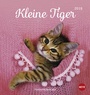 Bild: Katzen Postkartenkalender Kleine Tiger - Kalender 2019 - Heye