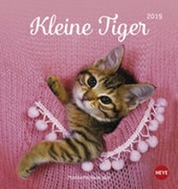 Bild vergrößern Bild: Katzen Postkartenkalender Kleine Tiger - Kalender 2019 - Heye