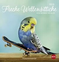 Bild vergrößern Bild: Freche Wellensittiche Postkartenkalender - Kalender 2019 - Heye