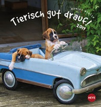Abbildung von: Tierisch gut drauf Postkartenkalender - Kalender 2019 - Heye