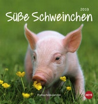 Abbildung von: Schweinchen Postkartenkalender - Kalender 2019 - Heye