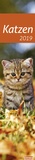 Bild: times&more Katzen long - Kalender 2019 - Heye