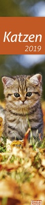 Bild vergrößern Bild: times&more Katzen long - Kalender 2019 - Heye