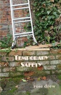 Enlarge image Cover: Temporary Safety - Fighting Cock Press