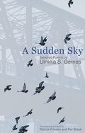 Cover: Sudden Sky - Brick Books