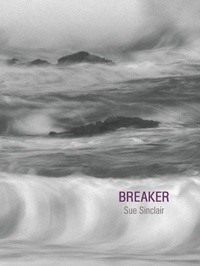 Enlarge image Cover: Breaker - Brick Books