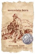 Cover: Mountain Born - Journeyforth
