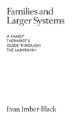 Cover: Families and Larger Systems - Guilford Publications