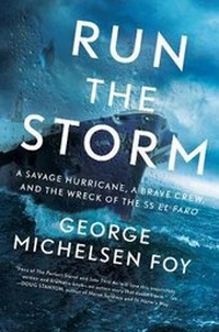 Abbildung von: Run the Storm - Scribner