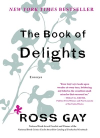 Enlarge image Cover: Book of Delights - Algonquin Books