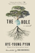 Cover: The Hole - Arcade Publishing