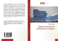 Abbildung von: Capital immatériel et performance à l'export - Éditions universitaires européennes