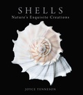 Cover: Shells - Down East Books,U.S.