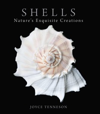 Enlarge image Cover: Shells - Down East Books,U.S.