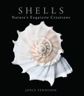 Cover: Shells - Down East Books