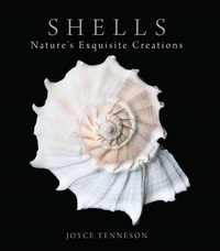 Enlarge image Cover: Shells - Down East Books