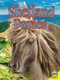 Cover: Shetland Ponies - Av2