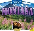 Cover: Montana - Av2