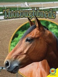 Cover: Thoroughbreds - Av2