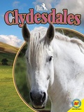 Cover: Clydesdales - Av2