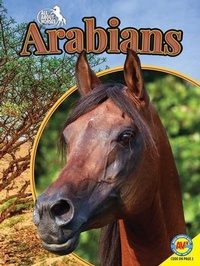 Enlarge image Cover: Arabians - Av2
