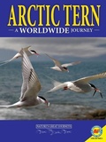 Cover: Arctic Terns: A Worldwide Journey - Av2